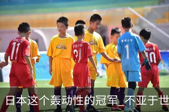 日本这个轰动性的冠军 不亚于世界杯男足奇迹
